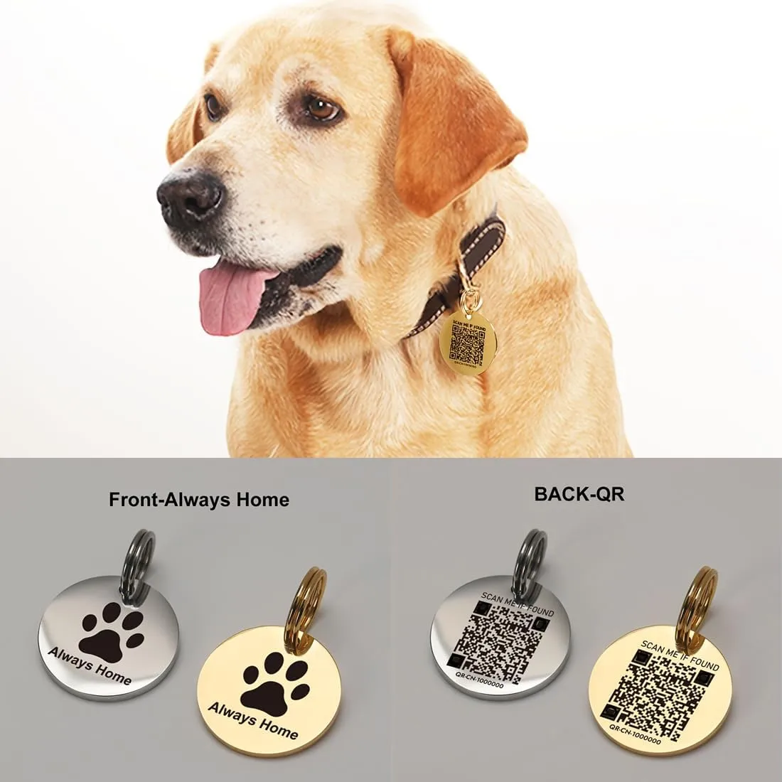 2 Pack Stainless Steel QR Code Pet ID Tags Personalized Dog Tag and Cat Tags Editable Online Profile Free Page Emergency Contacts Scan QR to Receive Instant Pet Location Alert Emails (Gold, M)