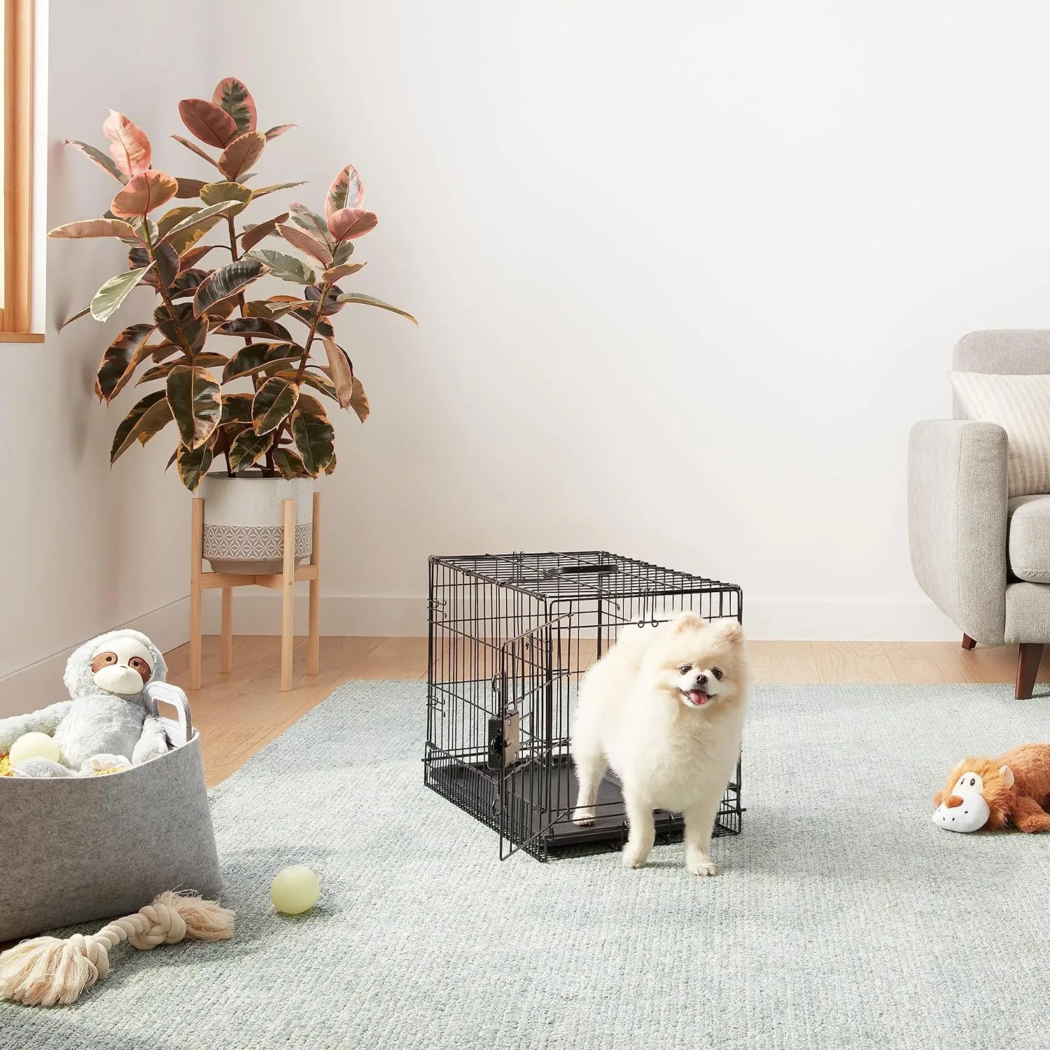 Amazon Basics Durable, Foldable Metal Wire Pet Crate with Tray, Portable and Sturdy for Travel, Single Door, Divider Panel, Perfect Size for Small Dogs, 22 x 13 x 16 in, Black
