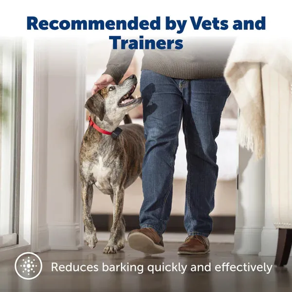 Basic Bark Control Collar