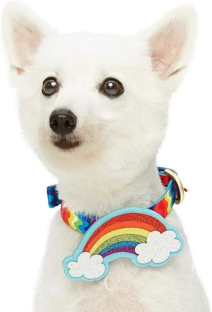 Blueberry Pet Rainbow Ripple Dream Adjustable Dog Collar with Blingy Dcor, Neck 13-16.5", for Medium Breed
