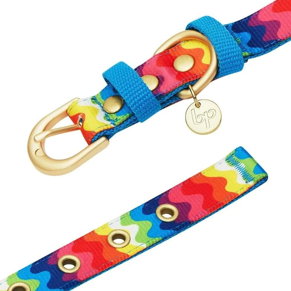 Blueberry Pet Rainbow Ripple Dream Adjustable Dog Collar with Blingy Dcor, Neck 13-16.5", for Medium Breed