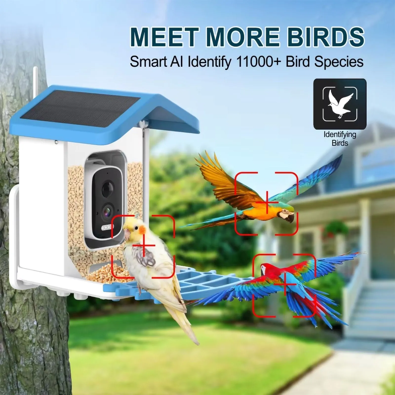 Brookstone Bird Feeder with Wireless Camera AI Species ID Solar Panel Smart Home