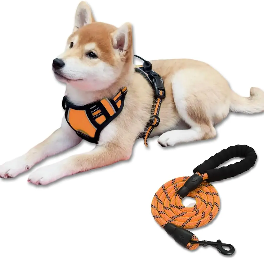Comfortable Dog Harness and Leash Set No Pull Dog Chest Harness with Leash Adjustable Outdoor Pet Vest 3M Reflective Oxford Material Soft Padded for Small Medium Large Dogs (M, Orange)