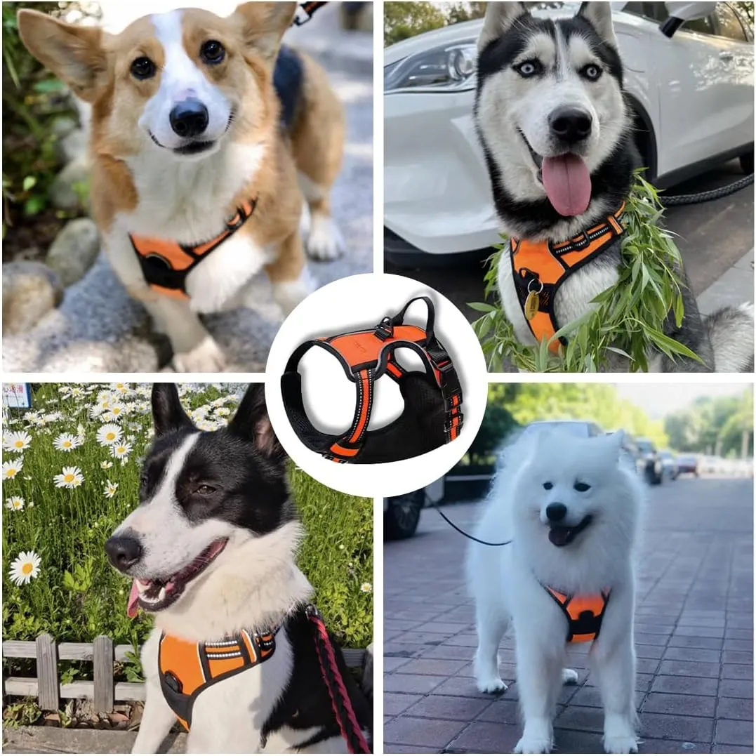 Comfortable Dog Harness and Leash Set No Pull Dog Chest Harness with Leash Adjustable Outdoor Pet Vest 3M Reflective Oxford Material Soft Padded for Small Medium Large Dogs (M, Orange)