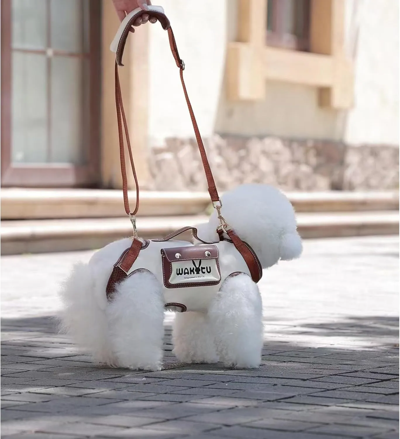 Dog Lift Harness Dog Carrier VES Harness Adjustable Leash with Small Puppy Treat Bag,Fits Most Cars,S4-8 LBS