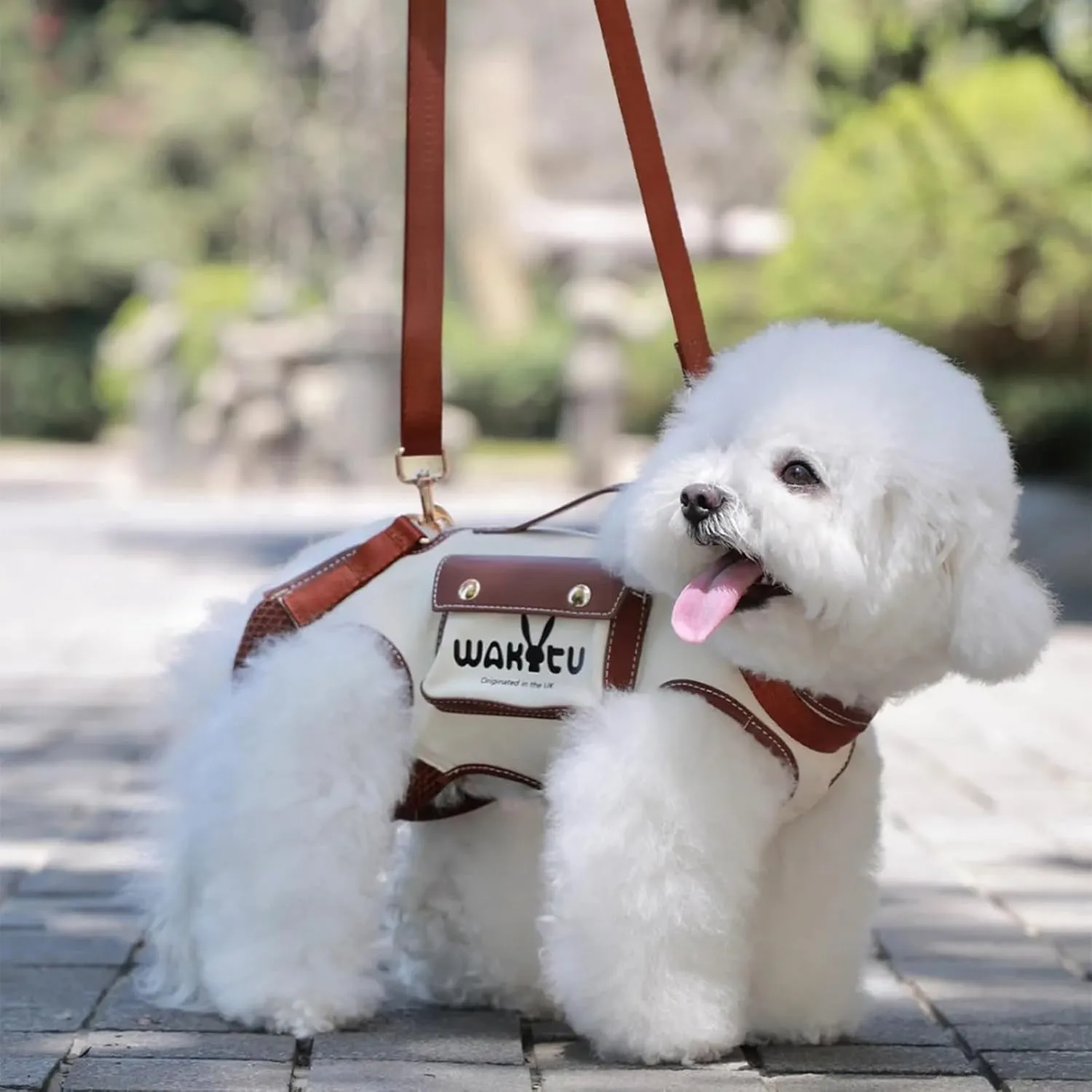 Dog Lift Harness Dog Carrier VES Harness Adjustable Leash with Small Puppy Treat Bag,Fits Most Cars,S4-8 LBS