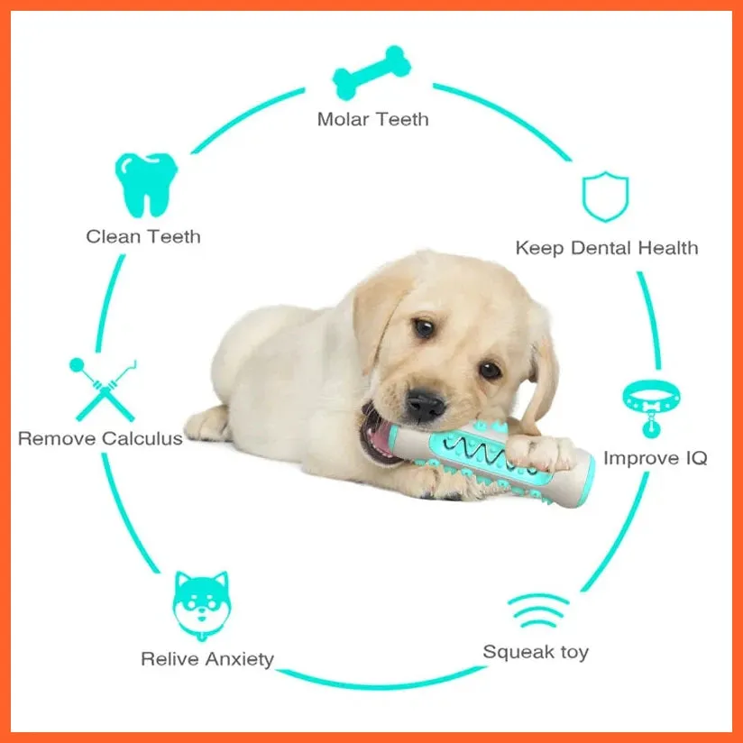 Dog Molar Toothbrush Toys | Chew Cleaning Teeth | Puppy Dental Care
