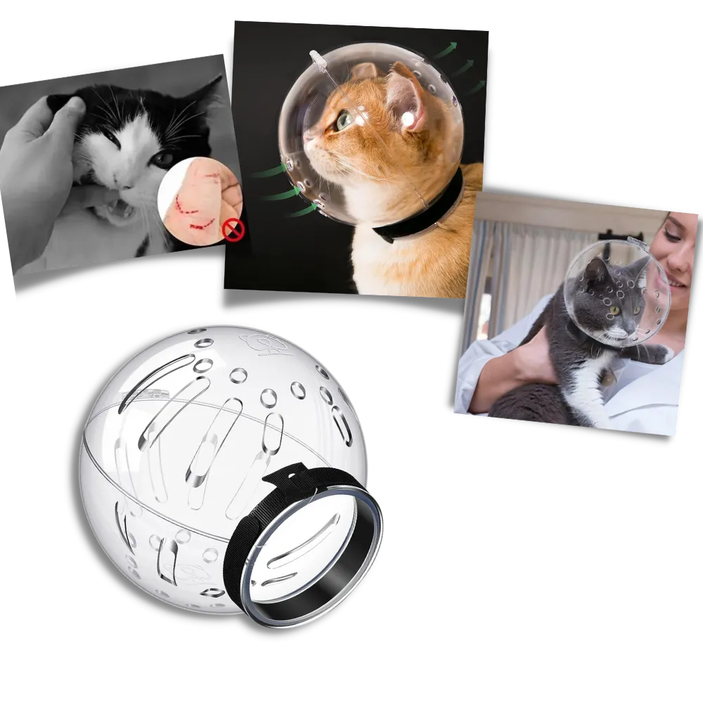 Grooming Cat Muzzle Anti-Bite
