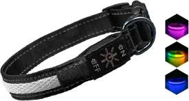 LED Dog Collar - Bright Premium Weatherproof Light Up Collar for Pet Safety, USB C Rechargeable & Adjustable for Small, Medium & Large Dogs (Multicolor, Medium)