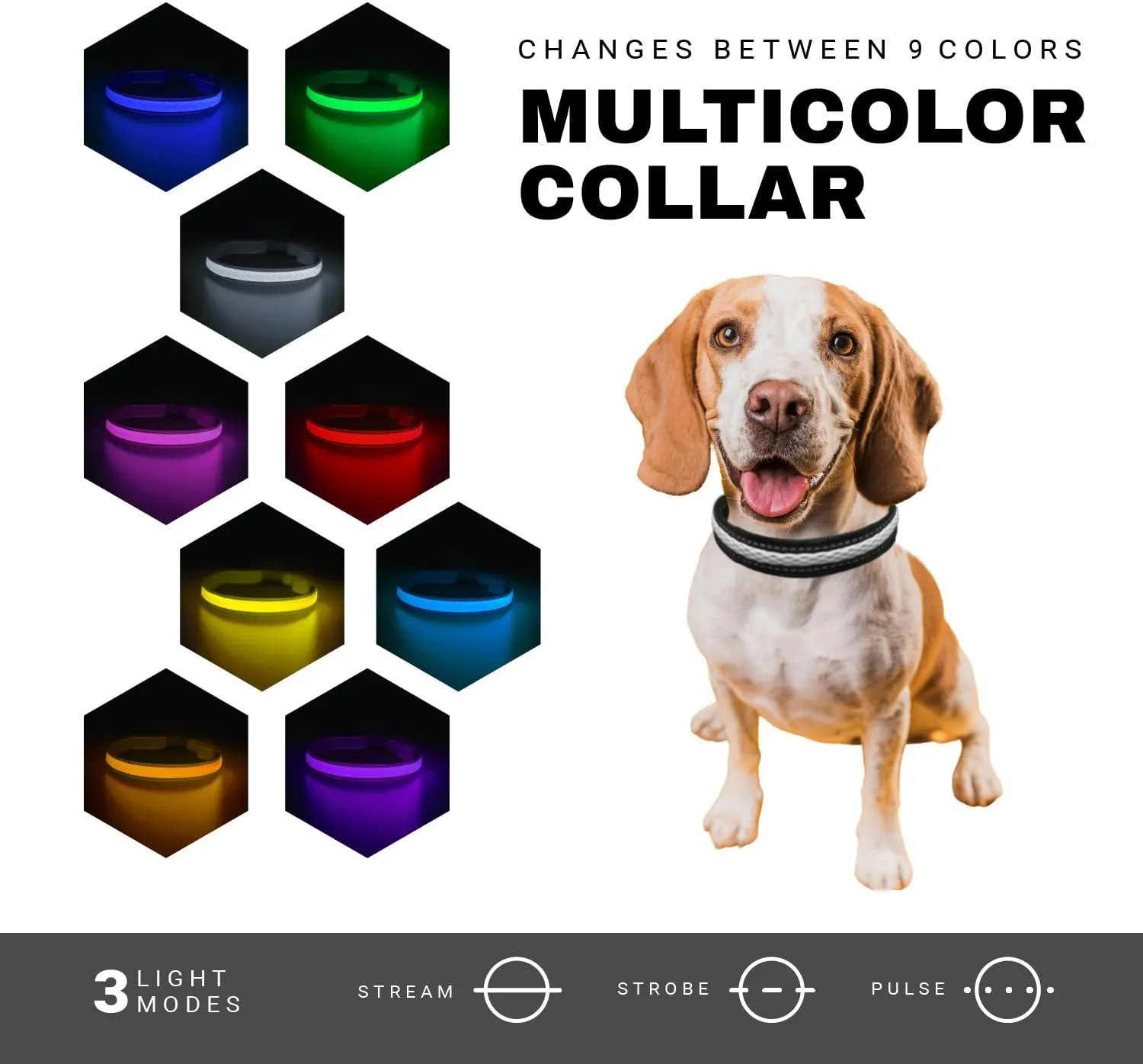 LED Dog Collar - Bright Premium Weatherproof Light Up Collar for Pet Safety, USB C Rechargeable & Adjustable for Small, Medium & Large Dogs (Multicolor, Medium)