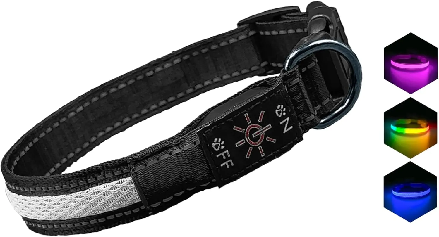 LED Dog Collar - Bright Premium Weatherproof Light Up Collar for Pet Safety, USB C Rechargeable & Adjustable for Small, Medium & Large Dogs (Multicolor, Medium)