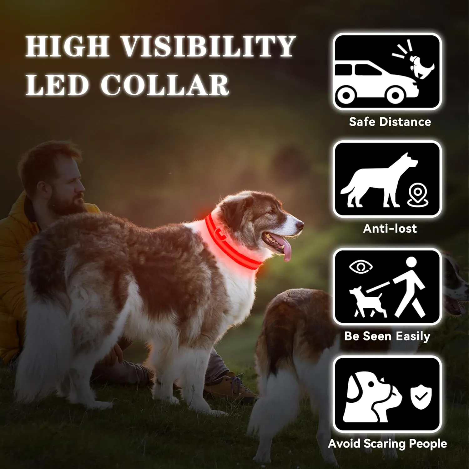 Light Up Dog Collar Rechargeable, LED Dog Collar Waterproof, Glow in Dark Dog Collar, Lighted Dog Collars for Night Walking Charging USB, Safety Dog Collar for Small Medium Large DogsM, Red