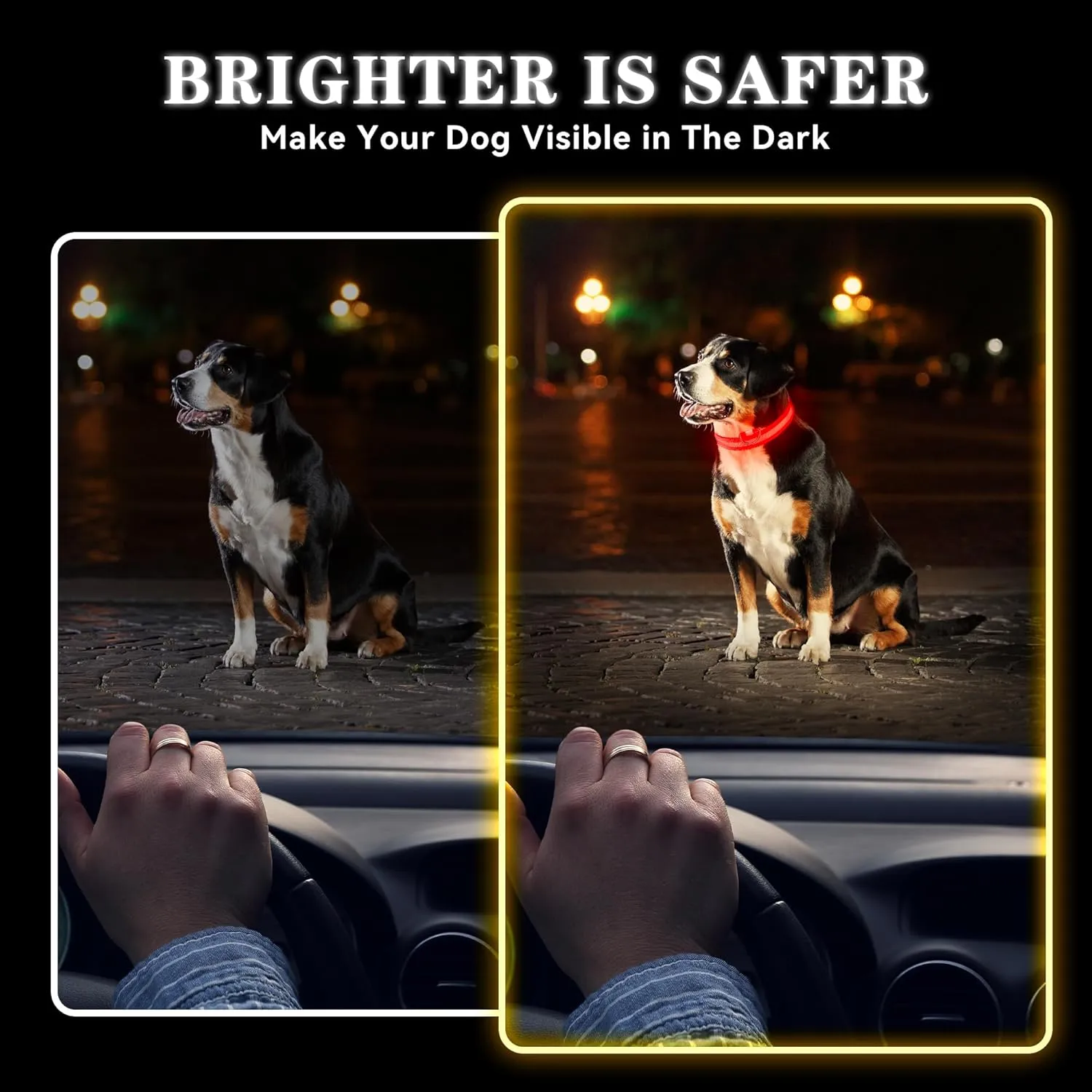 Light Up Dog Collar Rechargeable, LED Dog Collar Waterproof, Glow in Dark Dog Collar, Lighted Dog Collars for Night Walking Charging USB, Safety Dog Collar for Small Medium Large DogsM, Red