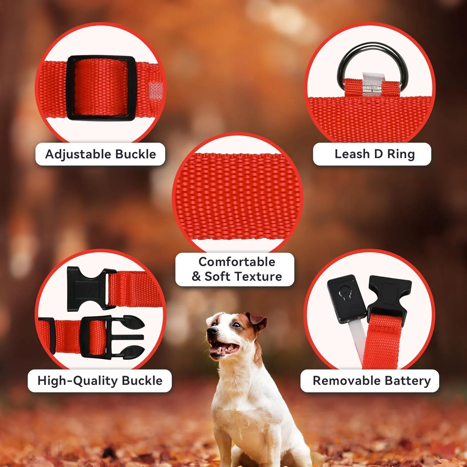 Light Up Dog Collar Rechargeable, LED Dog Collar Waterproof, Glow in Dark Dog Collar, Lighted Dog Collars for Night Walking Charging USB, Safety Dog Collar for Small Medium Large DogsM, Red