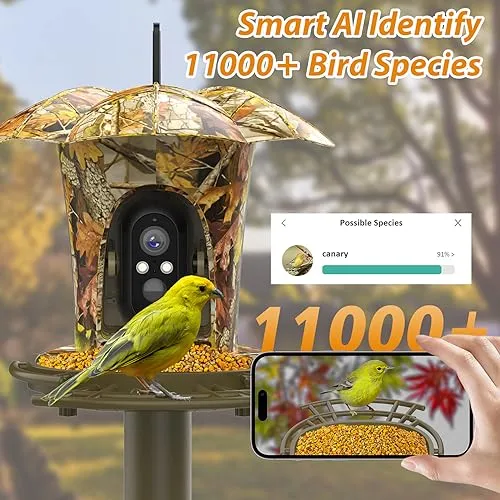 lollyes AI Smart Bird Feeder Camera with 64G Card, 1080P HD AI Identify Bird Species, Bird House with 7W Solar Panel for Wild Bird Watching, Outdoor, Garden, Bird Lover(Maple Leaf Pattern)