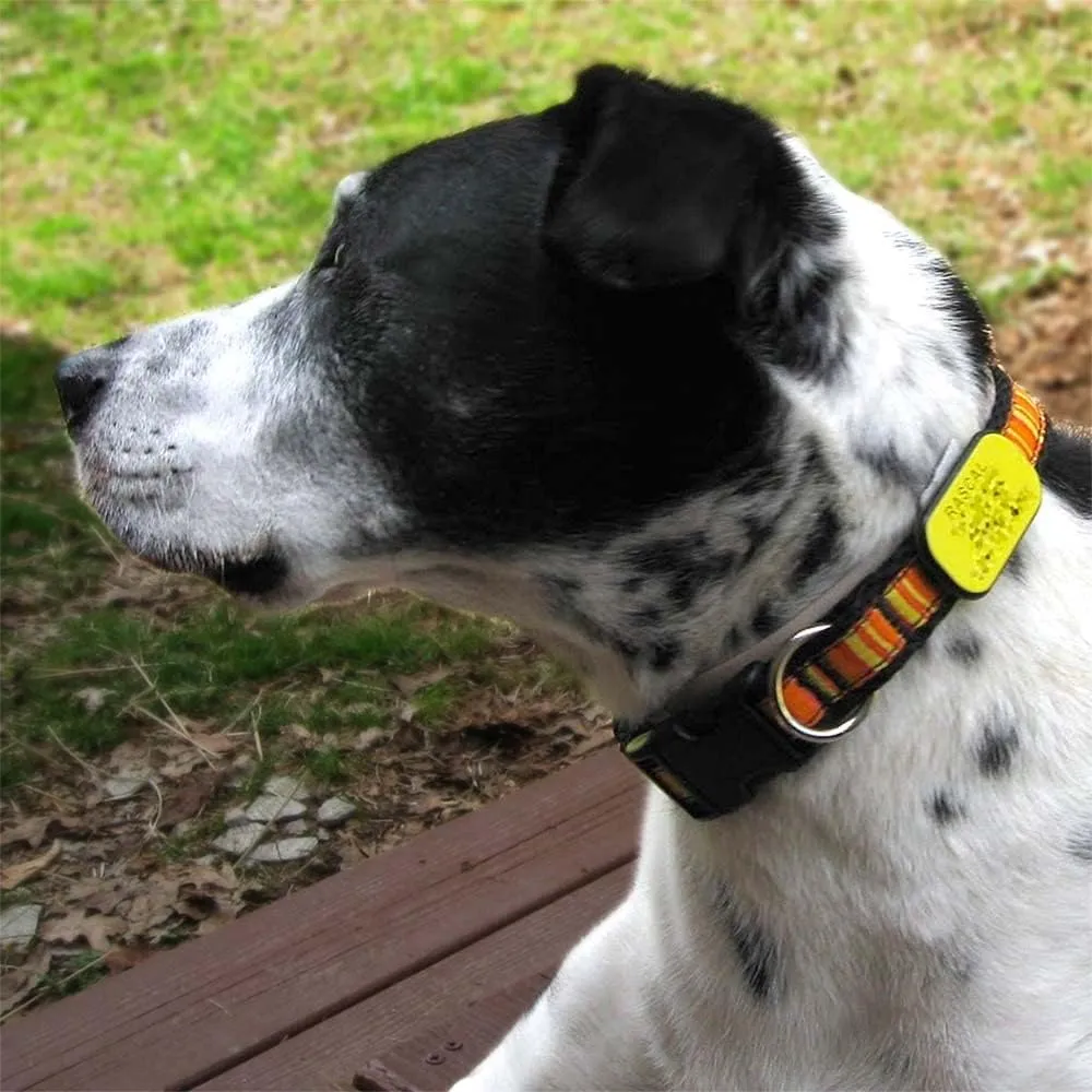 LuckyPet Pet ID Tag: Collar Tag - Attaches Flat to Any Collar - Perfect for Dogs or Cats - Custom Engraved - Durable and Silent! Medium-Black-Rectangle