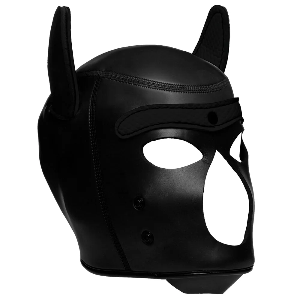 Master Series Spike Neoprene Puppy Hood