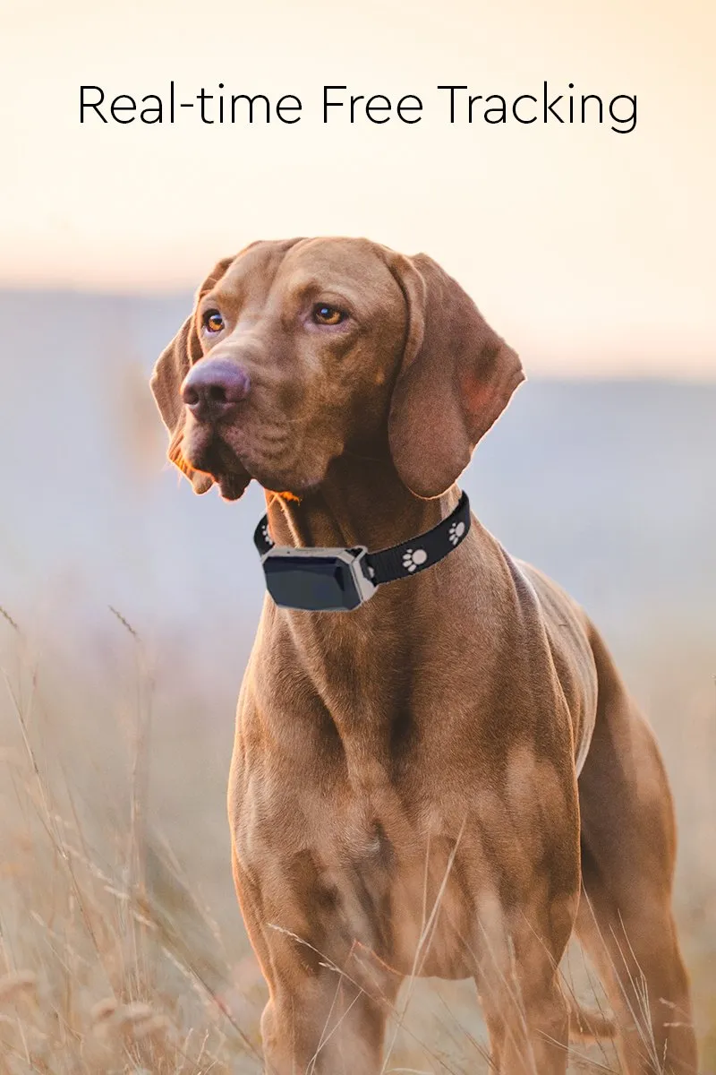 Multi-Purpose Smart Dog GPS Tracker