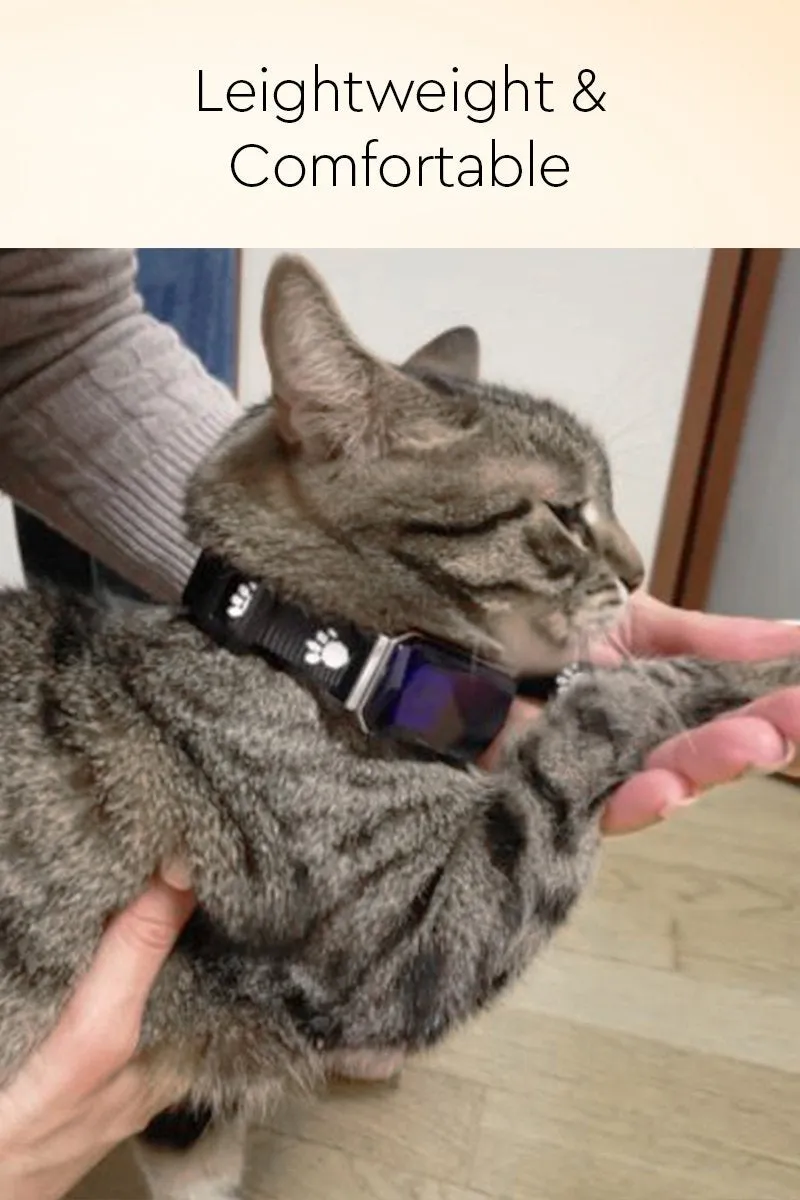 Multi-Purpose Smart Dog GPS Tracker