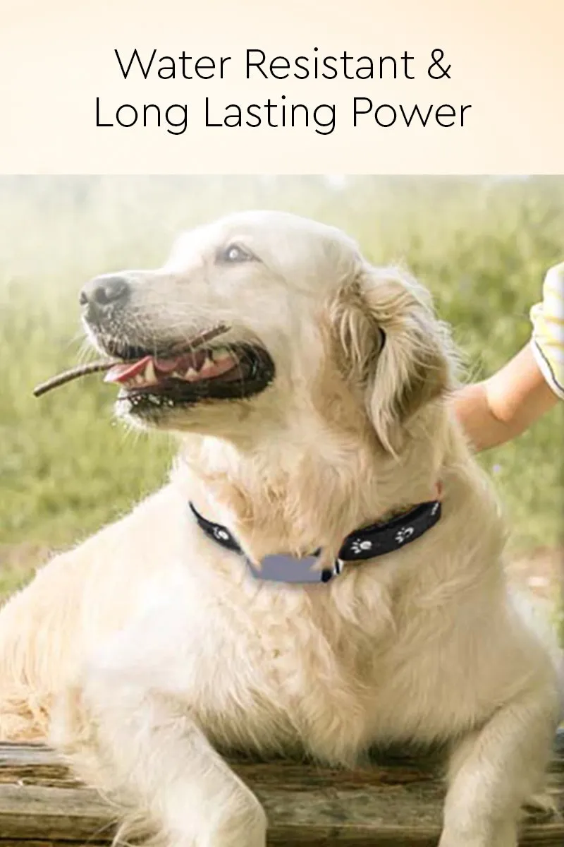 Multi-Purpose Smart Dog GPS Tracker