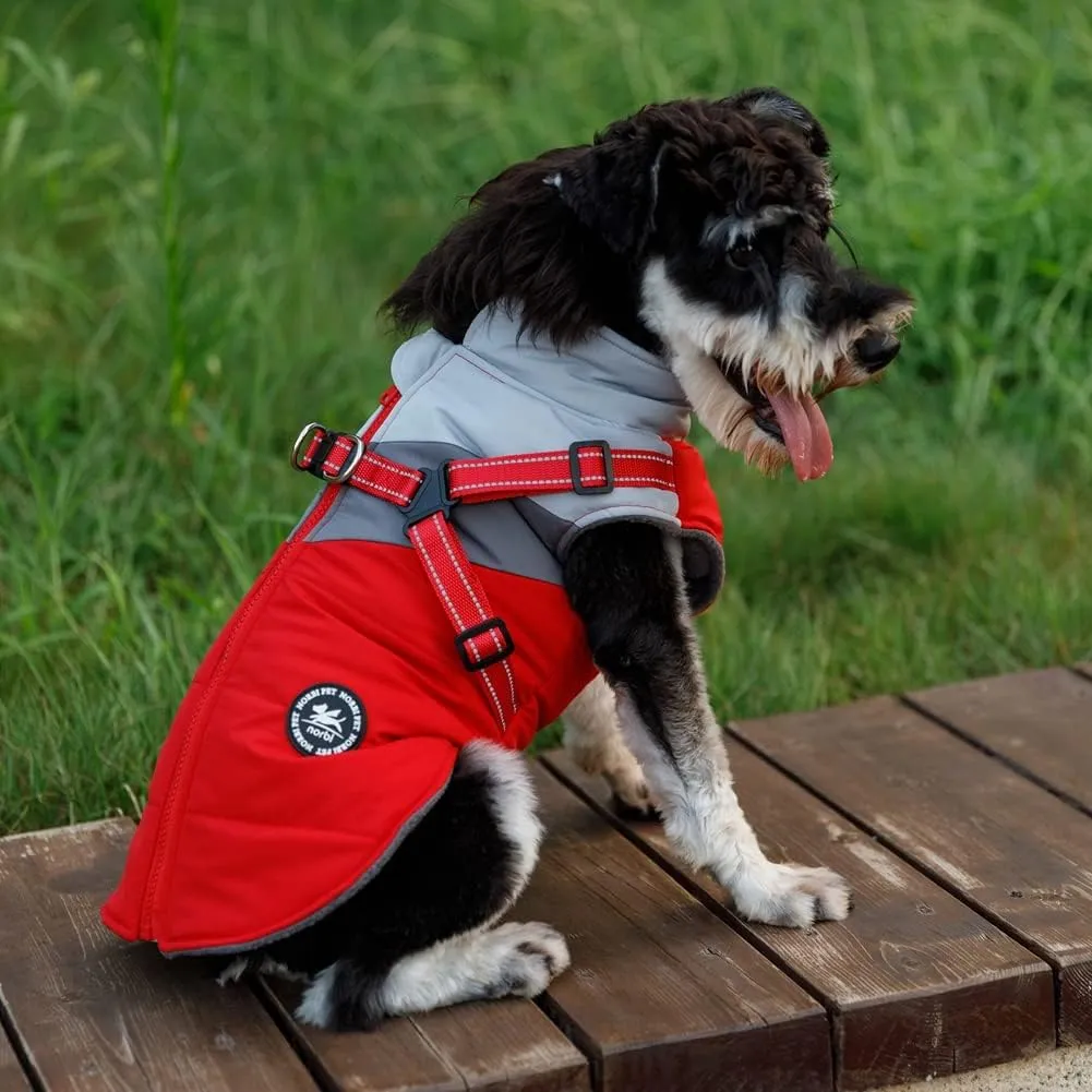 Norbi Dog Winter Coat, Jacket Small Coat with Harness Puppy 2 in 1 Red-A