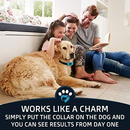 PawPets Anti Bark Collar | No Bark Collar | Bark Collar for Small Dogs 5-15lbs