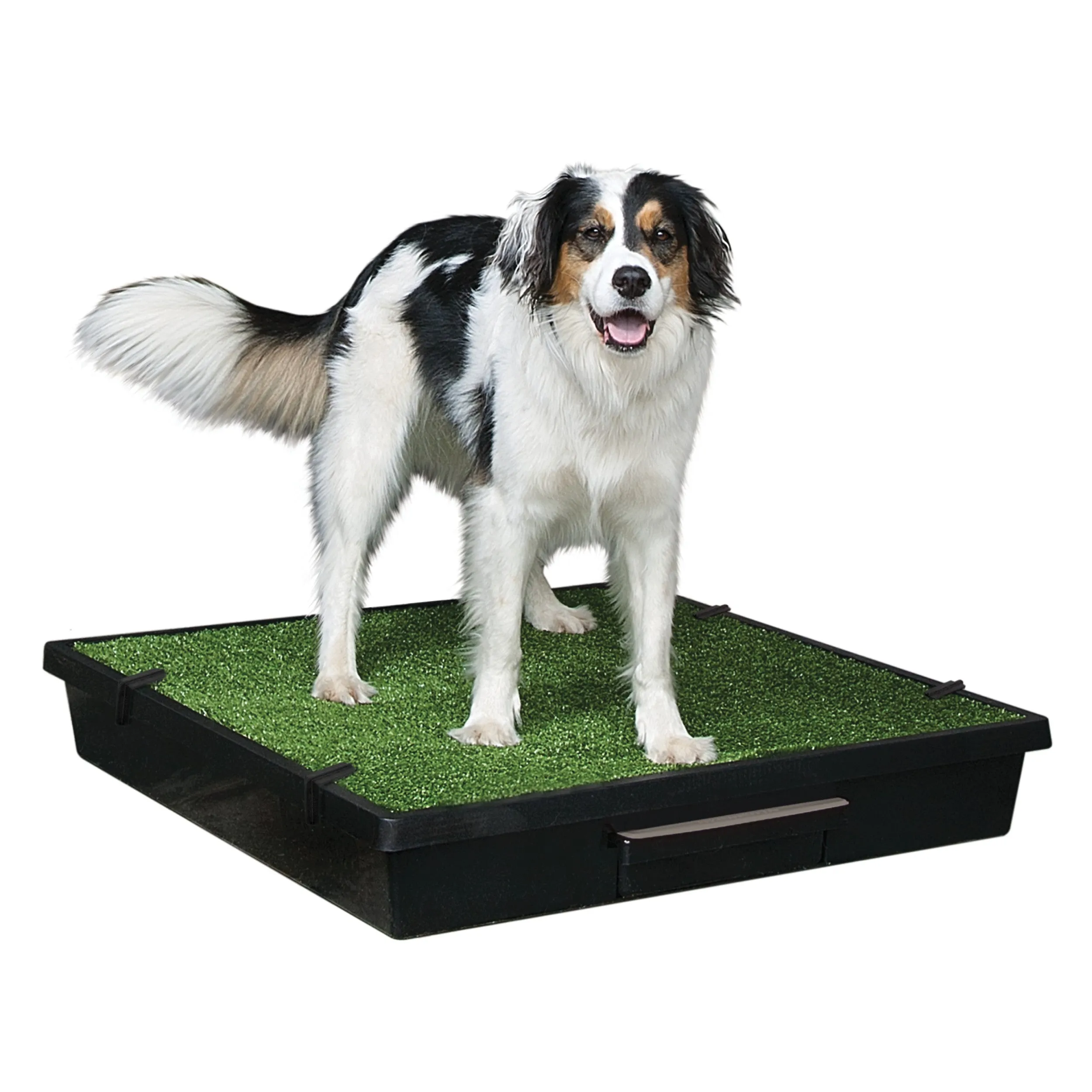 Pet Loo™ Pet Toilet