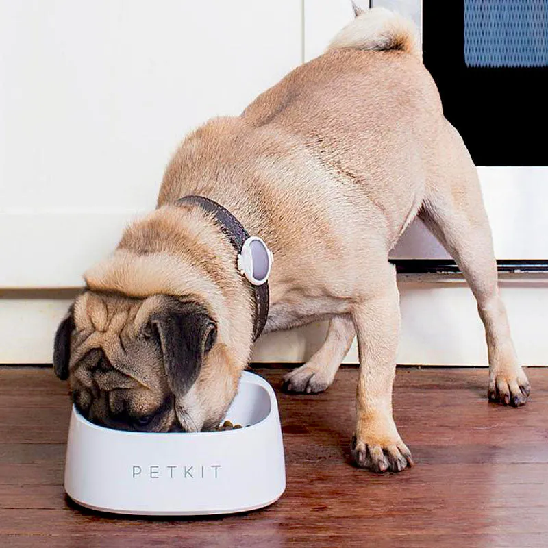 Petkit Fresh Smart Digital Feeding Pet Bowl
