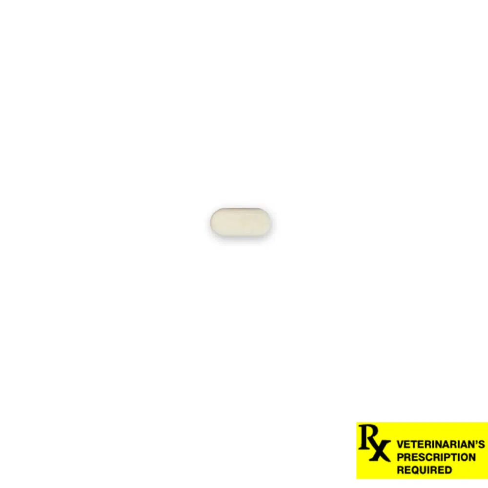 PrednisTab (prednisolone) Oral Tablets