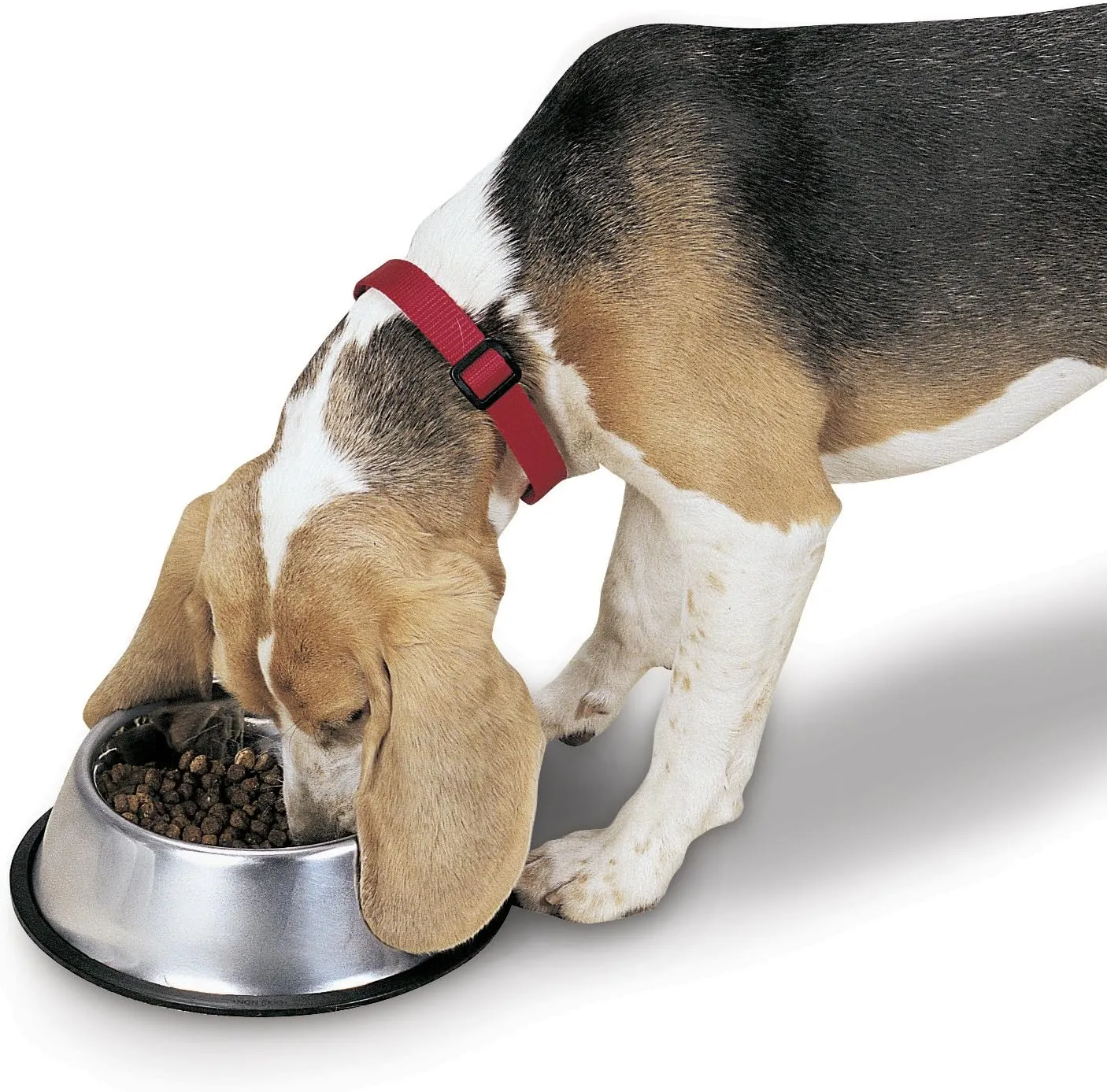 Proselect Stainless Steel X-Super Heavyweight Non-Tip Pet Bowl, 9-Inch, 3-Quart