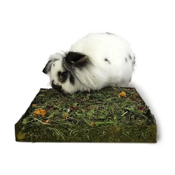 Rosewood Naturals | Small Pet Toy | Herby Forage Nibble 'n' Dig Meadow
