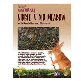Rosewood Naturals | Small Pet Toy | Herby Forage Nibble 'n' Dig Meadow