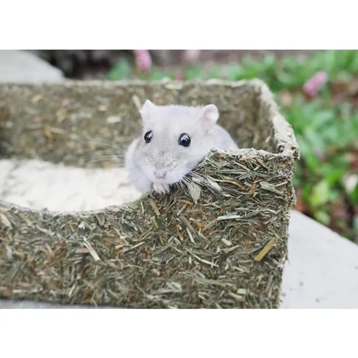 Rosewood | Small Pet Toy | Rollin' Rodents Edible Sand Bath