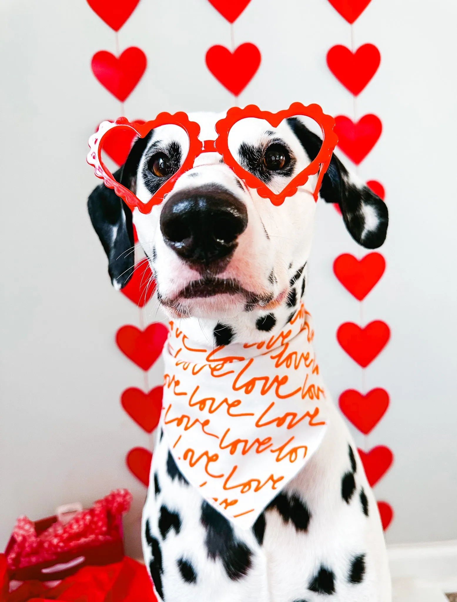 Rouge Bandana