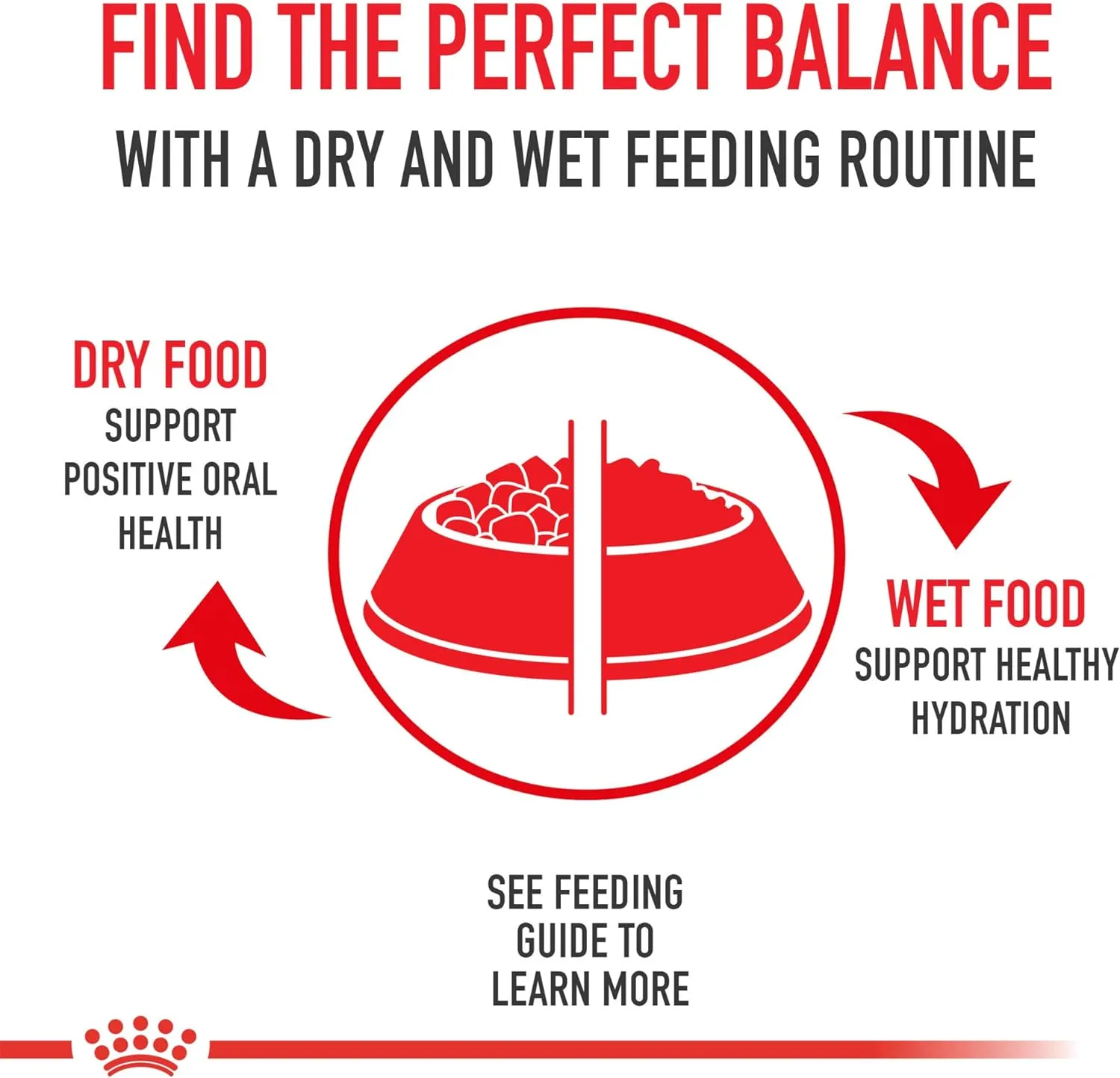 Royal Canin Golden Retriever Adult Dry Dog Food, 17 lb Bag