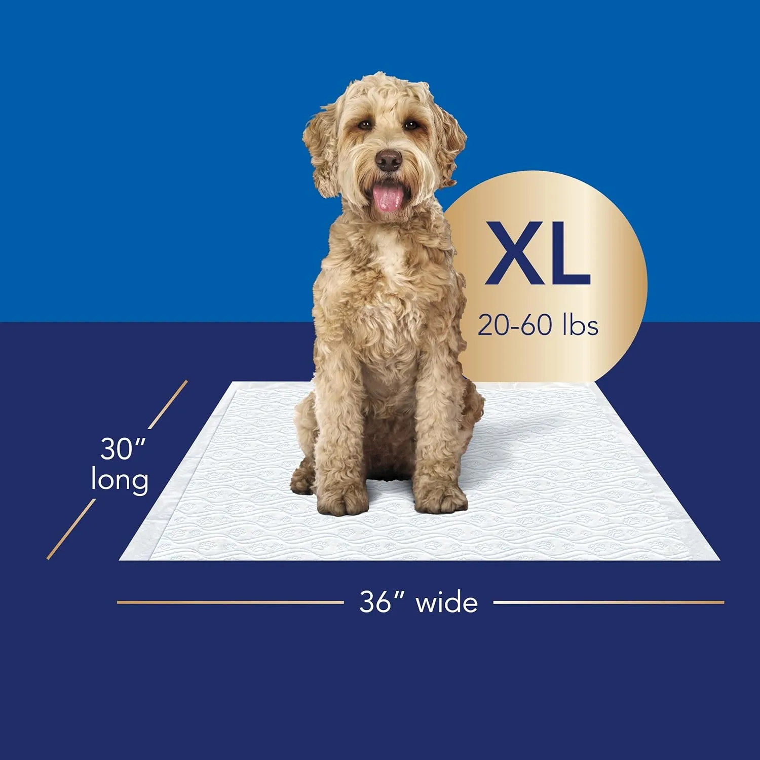 Scott Pet Guard Advanced Dog Pads - Training for Puppies, Medium & Large Dogs - 16 Hour Absorbency with Odor Control - Softest Quilted Pee Pads - XL - 30" x 36" - 20 Pack