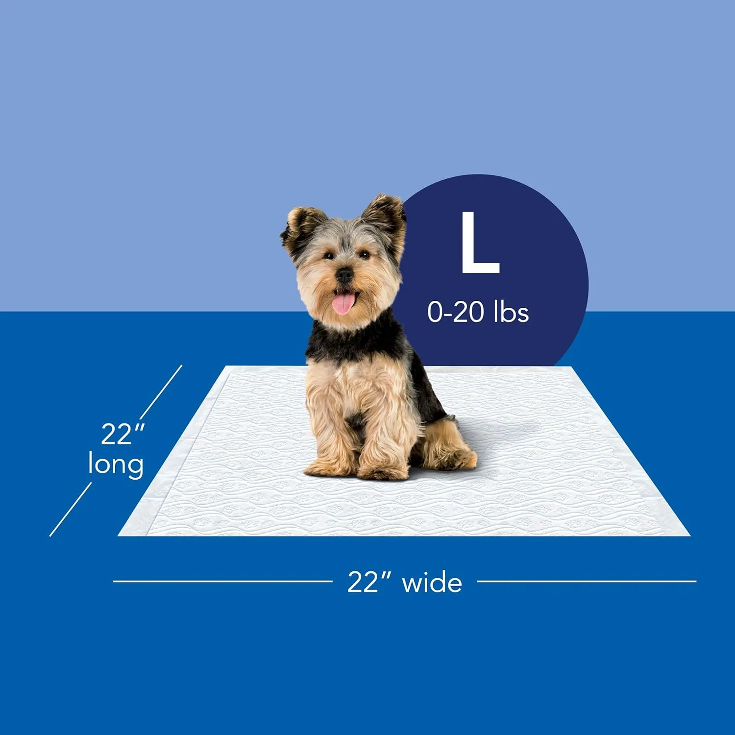 Scott Pet Guard Dog Pads - Medium & Large Dog Training Pee Pads - Up to 12 Hour Absorbent Odor Control - Easily Disposable - Size Large - 22" x 22" - 100 Pack