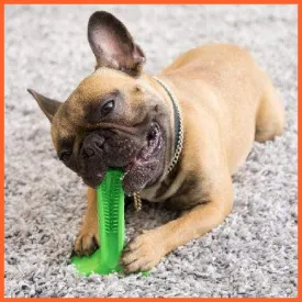 Silicone Pet Toothbrush | Dog Tooth Stick Brush