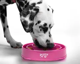 Slow Feed Dog Bowl Slowly Bowly by 2PET. Fun Interactive Dog Dish for Fast Eaters. Prevent Bloating. Fun to Use Dog Bowl. Cat Feeder Friendly. [Skid Protection Upgraded]