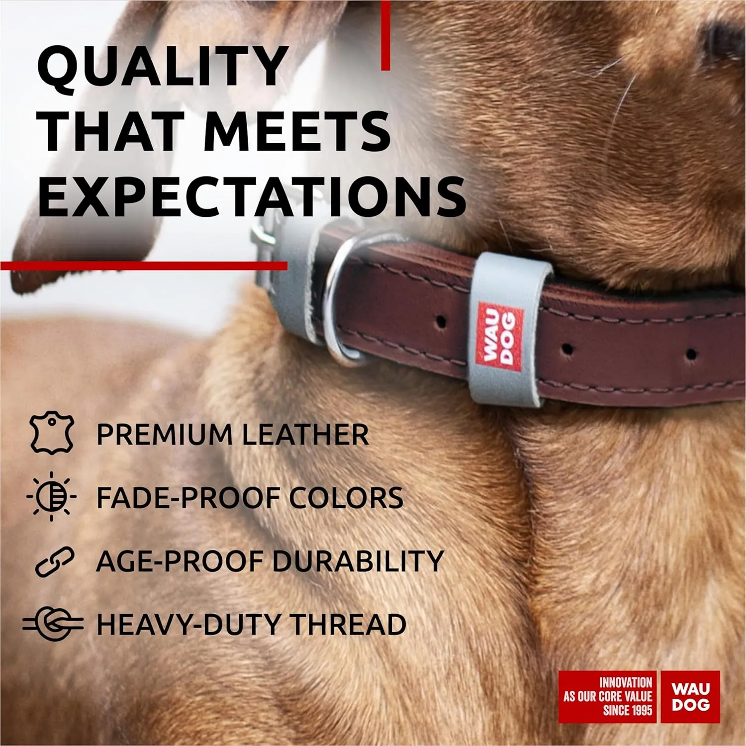 WAUDOG Long Lasting Leather Dog Collar for Large Dogs, Medium & Small Dogs - Adjustable Classic Puppy Collars for Large Breed Dogs - Boy & Girl Dog Collars with Durable Buckle, D-Ring & QR Dog Tag
