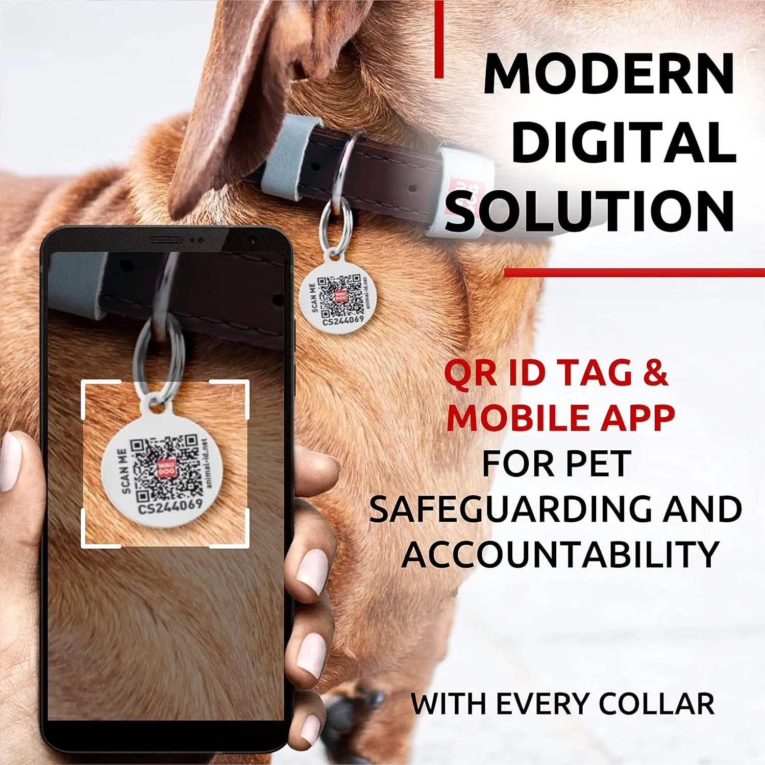 WAUDOG Long Lasting Leather Dog Collar for Large Dogs, Medium & Small Dogs - Adjustable Classic Puppy Collars for Large Breed Dogs - Boy & Girl Dog Collars with Durable Buckle, D-Ring & QR Dog Tag