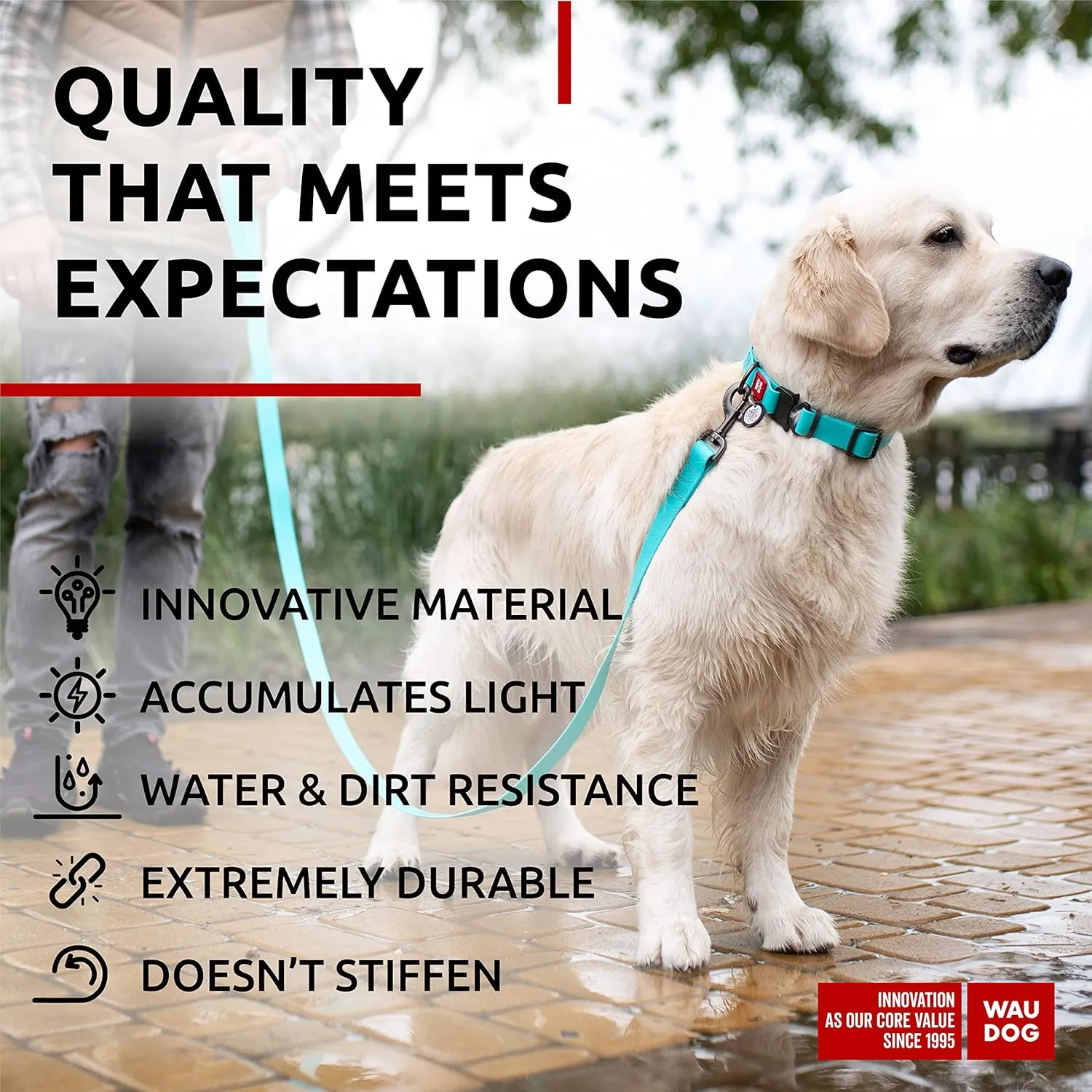 WAUDOG Waterproof Dog Collar - Adjustable Dog Collar for Large Dogs, Small and Medium Dogs - Heavy Duty Dog Collars with Durable Metal Clasp and QR Dog Tag - Boy & Girl Dog Collars