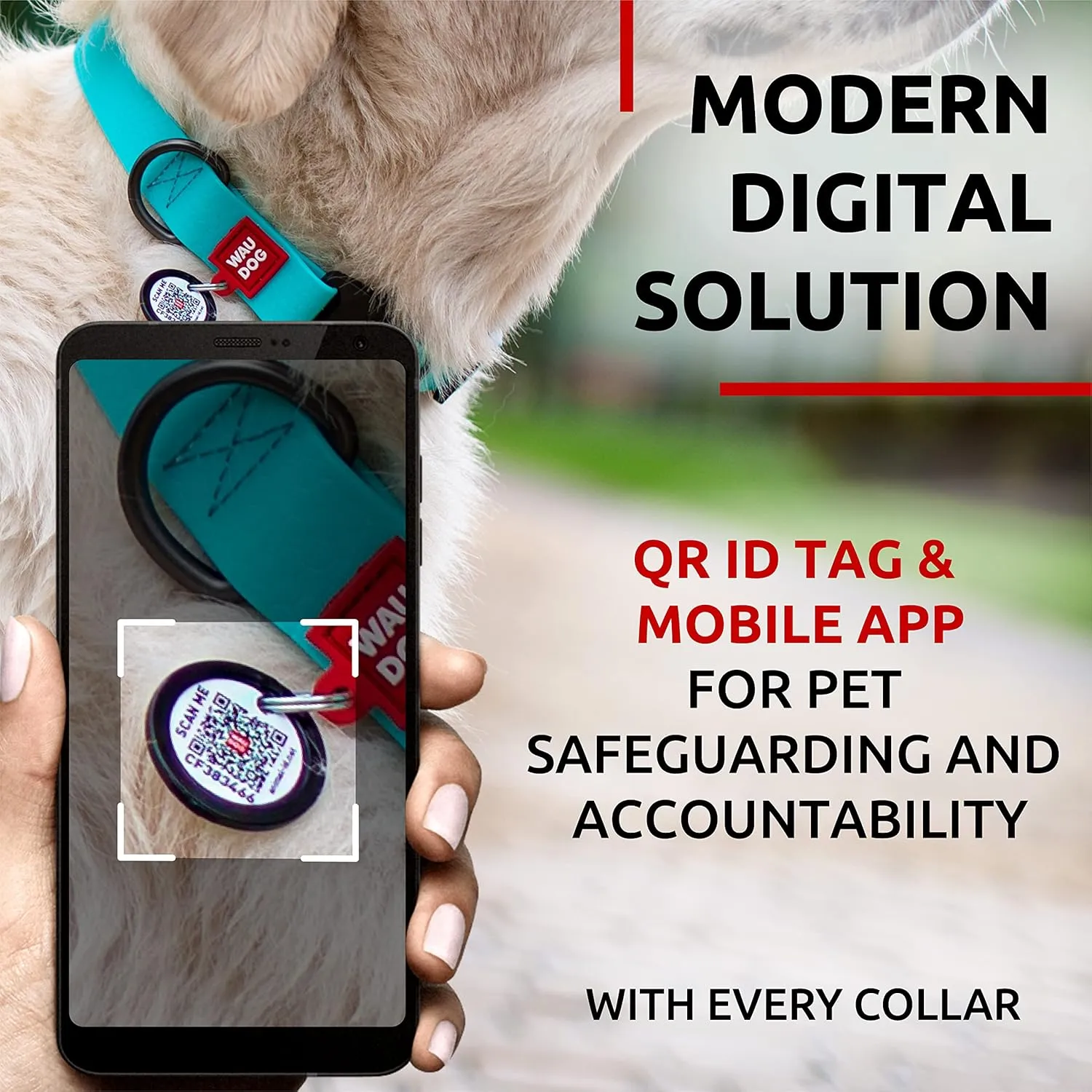 WAUDOG Waterproof Dog Collar - Adjustable Dog Collar for Large Dogs, Small and Medium Dogs - Heavy Duty Dog Collars with Durable Metal Clasp and QR Dog Tag - Boy & Girl Dog Collars