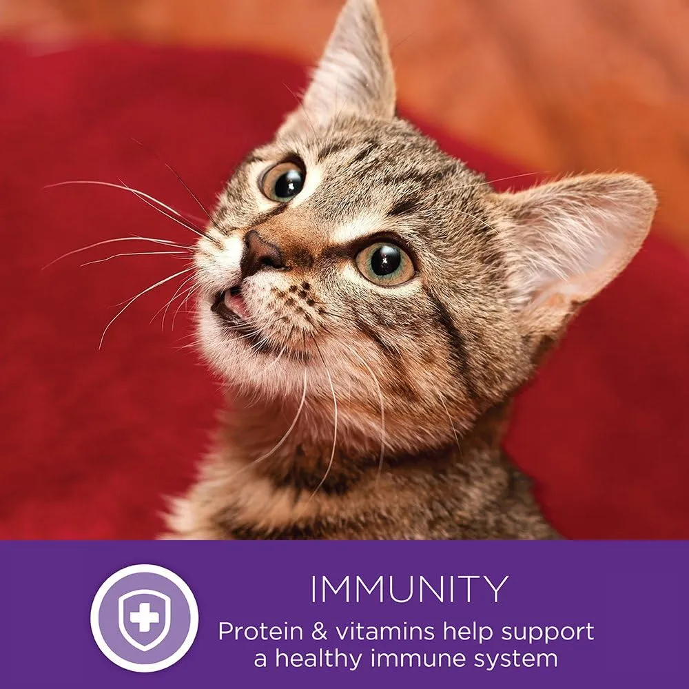 Wellness Healthly Indulgence Morsels Adult Wet Cat Food, Natural, Protein-Rich, Grain Free, 3 Ounce Pouch, 24 Pack, (Chicken & Turkey)