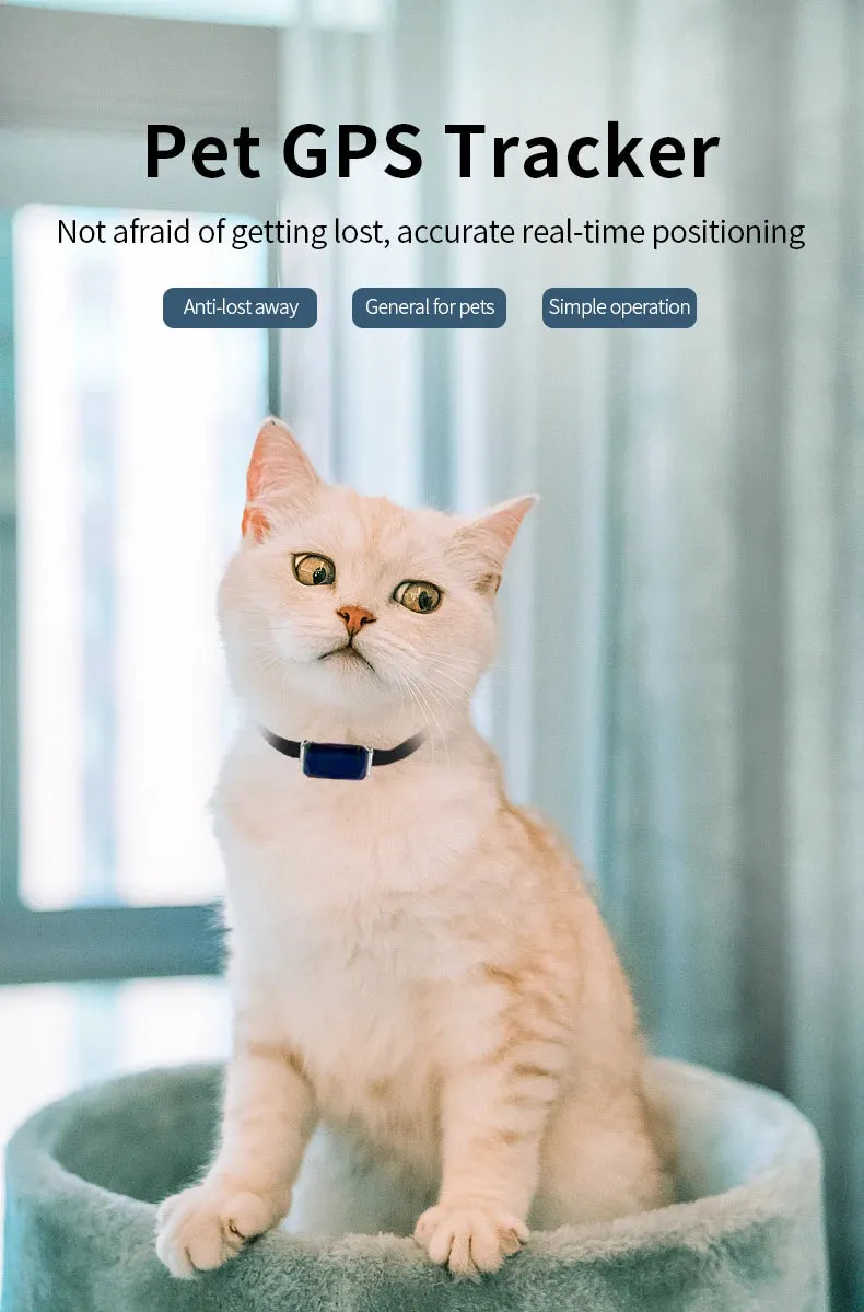 Wifi intelligent remote positioning pet GPS locator Beidou waterproof collar dog cat, cattle, sheep, horse and dog loss device