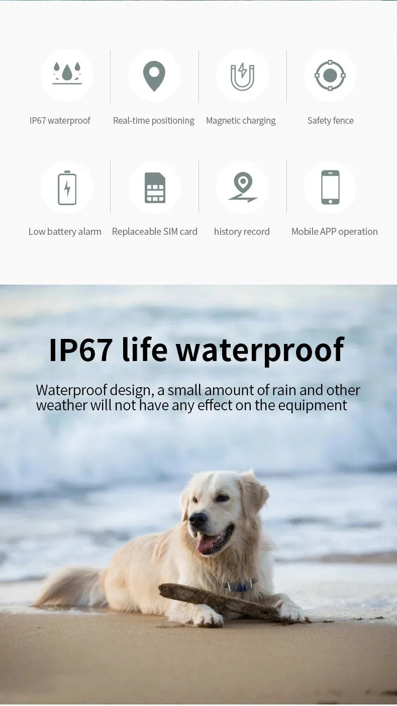 Wifi intelligent remote positioning pet GPS locator Beidou waterproof collar dog cat, cattle, sheep, horse and dog loss device