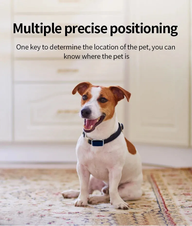 Wifi intelligent remote positioning pet GPS locator Beidou waterproof collar dog cat, cattle, sheep, horse and dog loss device