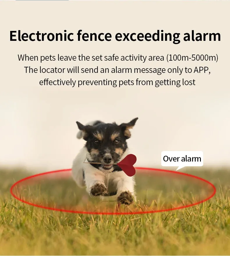 Wifi intelligent remote positioning pet GPS locator Beidou waterproof collar dog cat, cattle, sheep, horse and dog loss device
