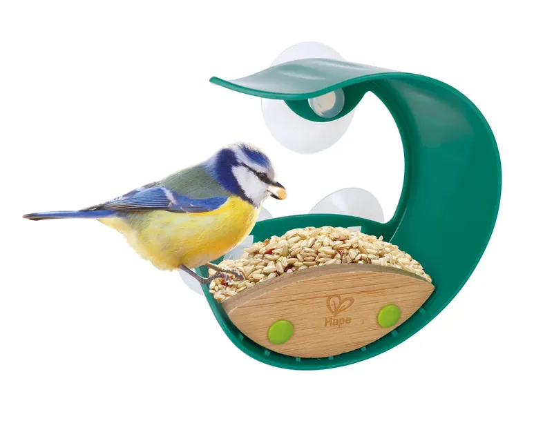 Window Bird Feeder