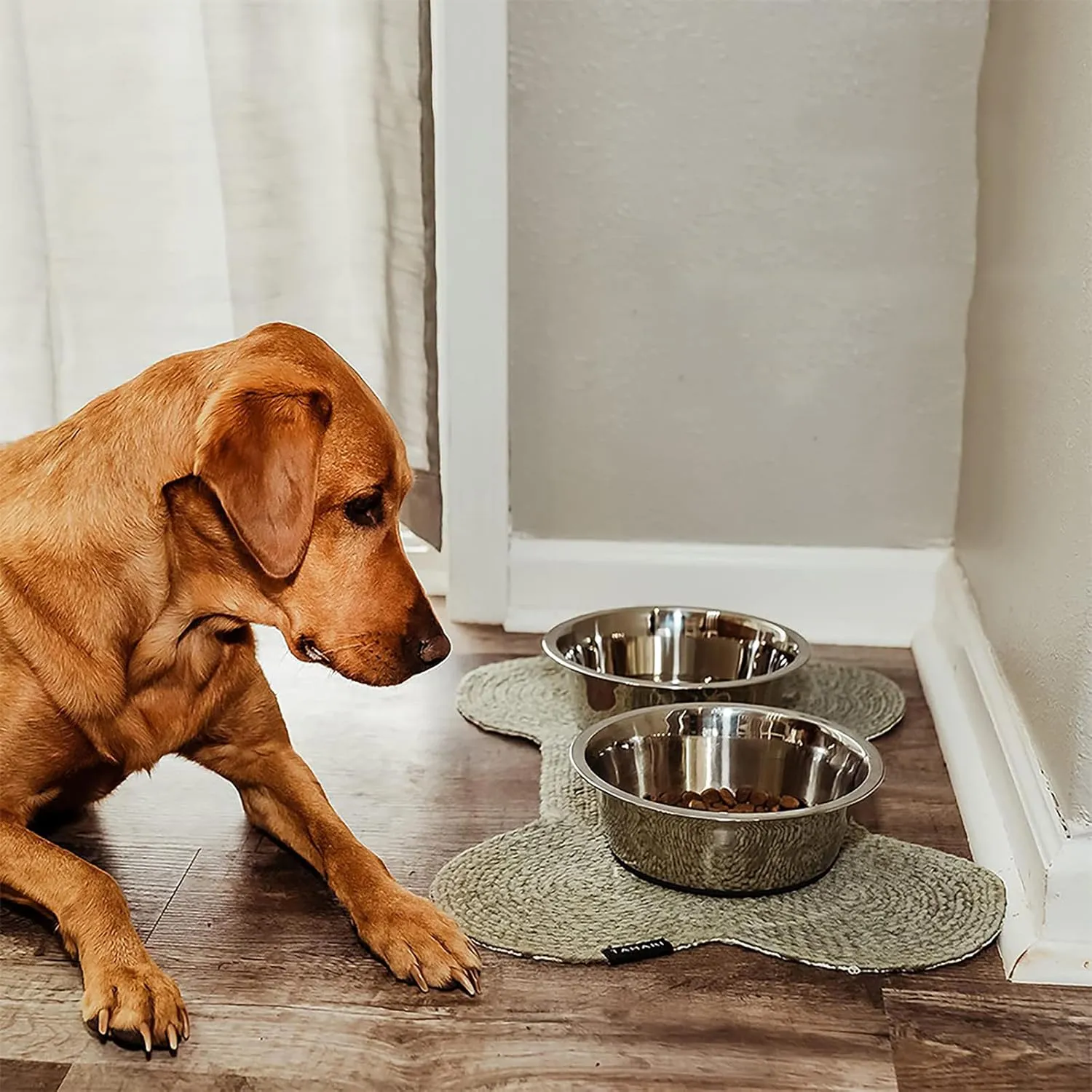 YINGFAN Stainless Steel Dog Bowls, 2 Pack Metal Dog Bowls with Non-Slip Rubber Base, Durable Food and Water Bowl for Small, Puppy Dogs, Holds 2 Cups, BPA-Free, Dishwasher Safe (Gray)